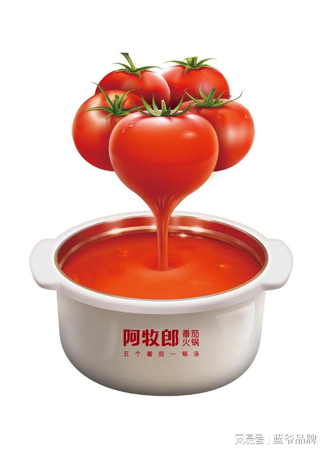 司-蓝爷品牌设计-懂生意的公司PG麻将胡了专业品牌设计的公(图2)