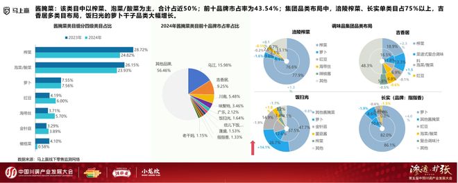 产业发展大会：调味品竞争态势及发展趋向PG电子麻将胡了模拟器分享实录丨川调(图13)