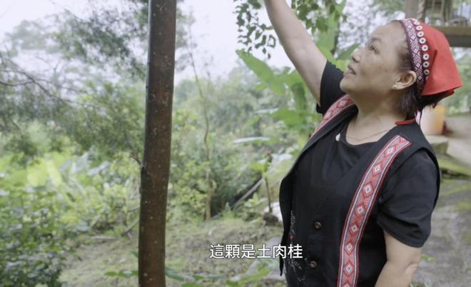 节目尽显中医的“国际范儿”麻将胡了模拟器这档刚开播的(图25)