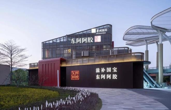 节目尽显中医的“国际范儿”麻将胡了模拟器这档刚开播的(图26)